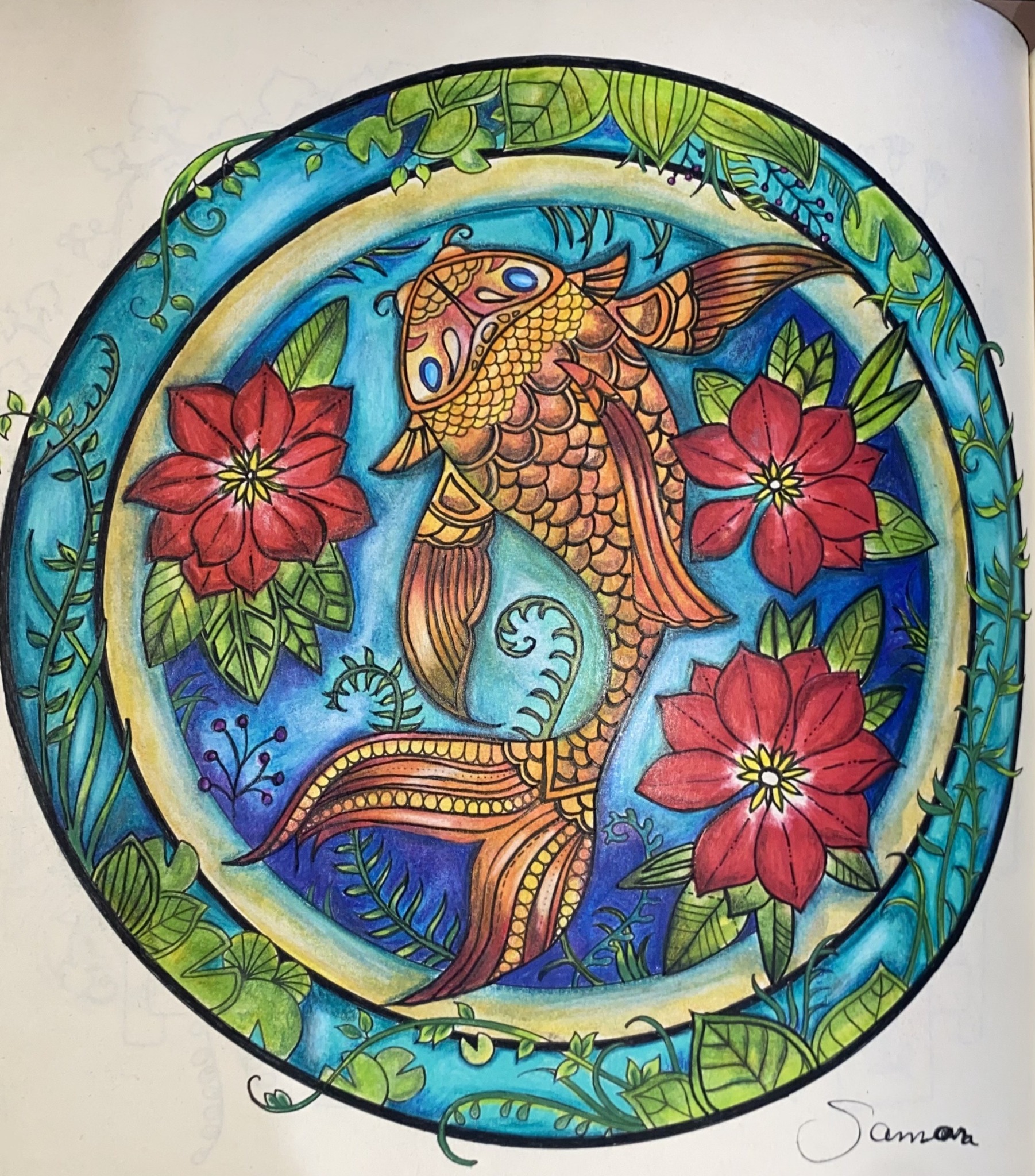 Colorir - hobby favorito